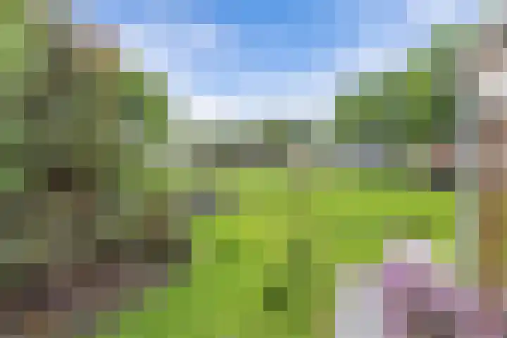 Ds Dijkstraweg 32 Hitzum thumbnail 67