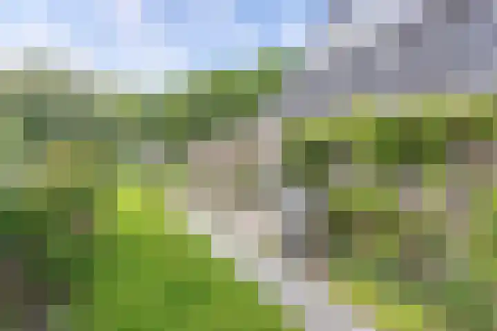 Ds Dijkstraweg 32 Hitzum thumbnail 68