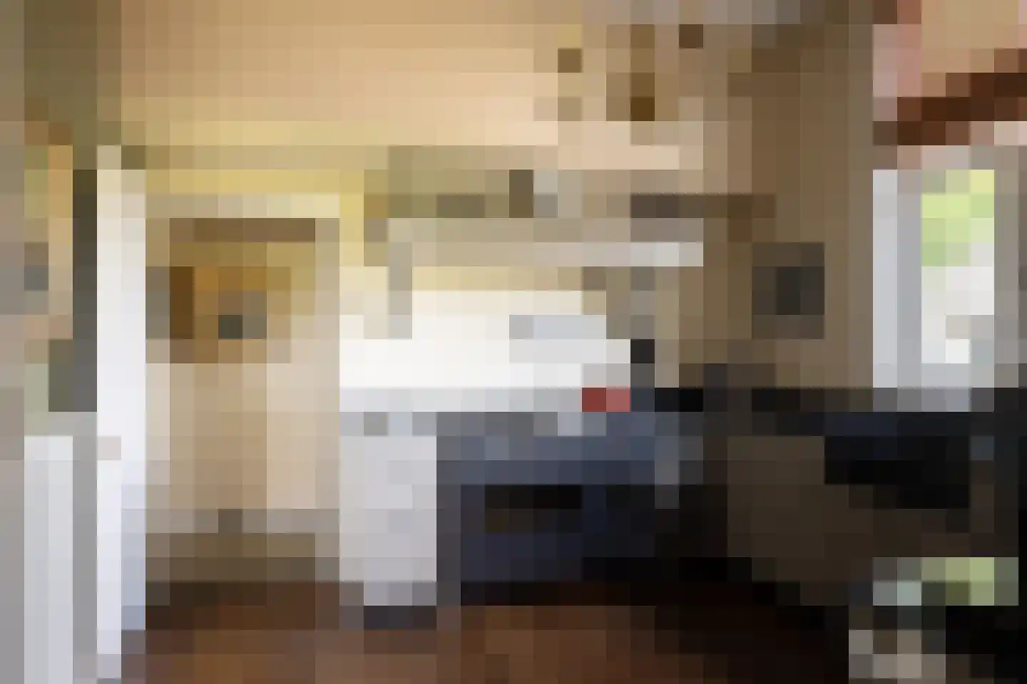 Ds. E. Kreikenlaan 12 Wesepe thumbnail 12
