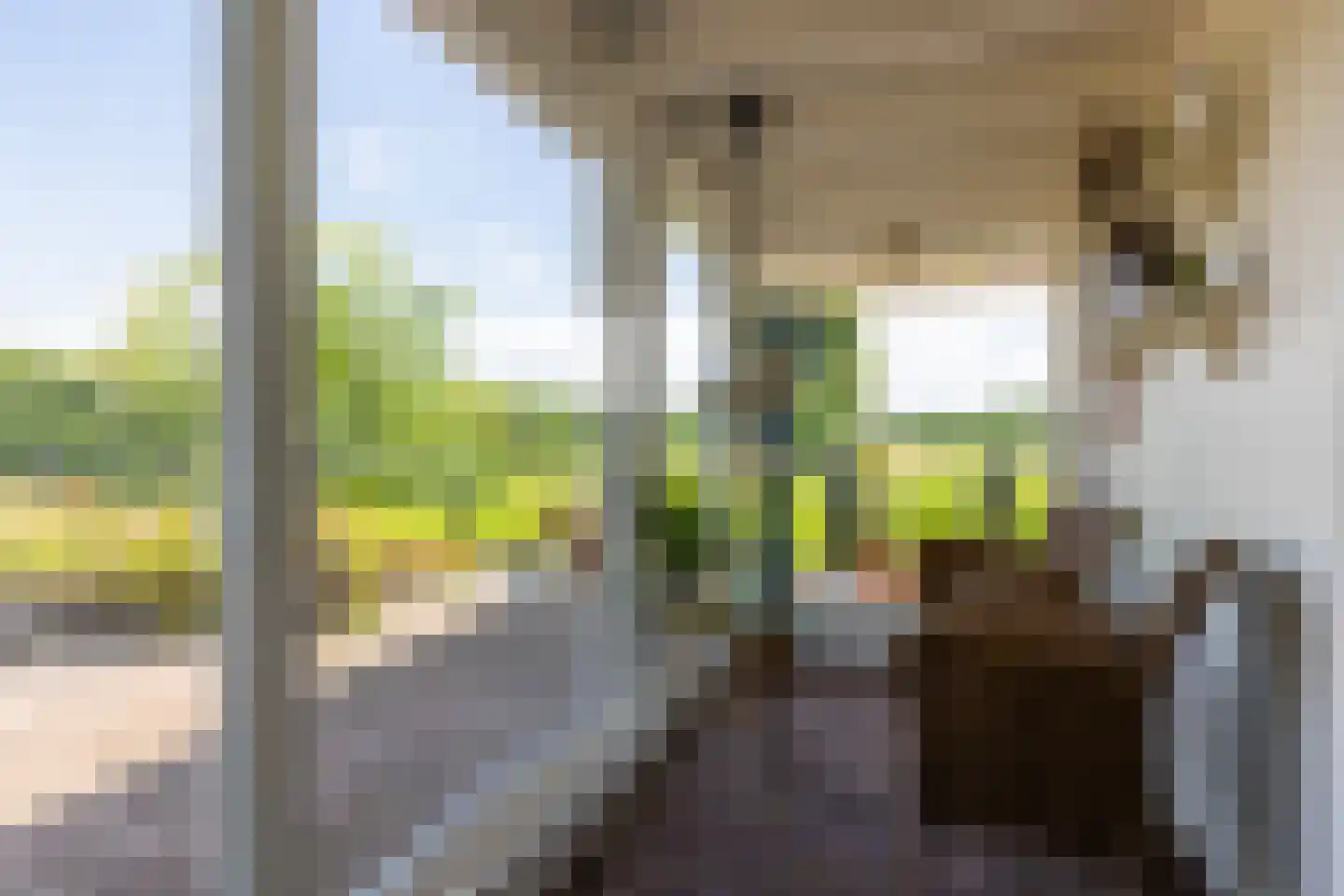 Ds. E. Kreikenlaan 12 Wesepe thumbnail 14