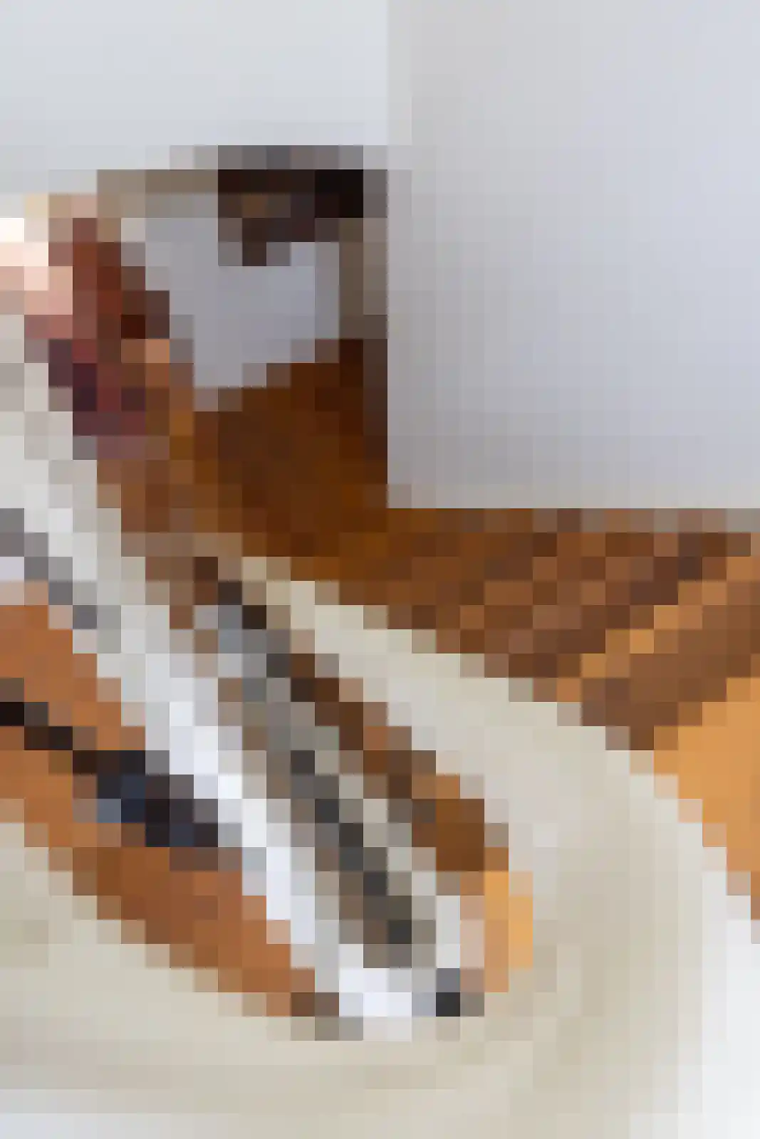Ds. E. Kreikenlaan 12 Wesepe thumbnail 17