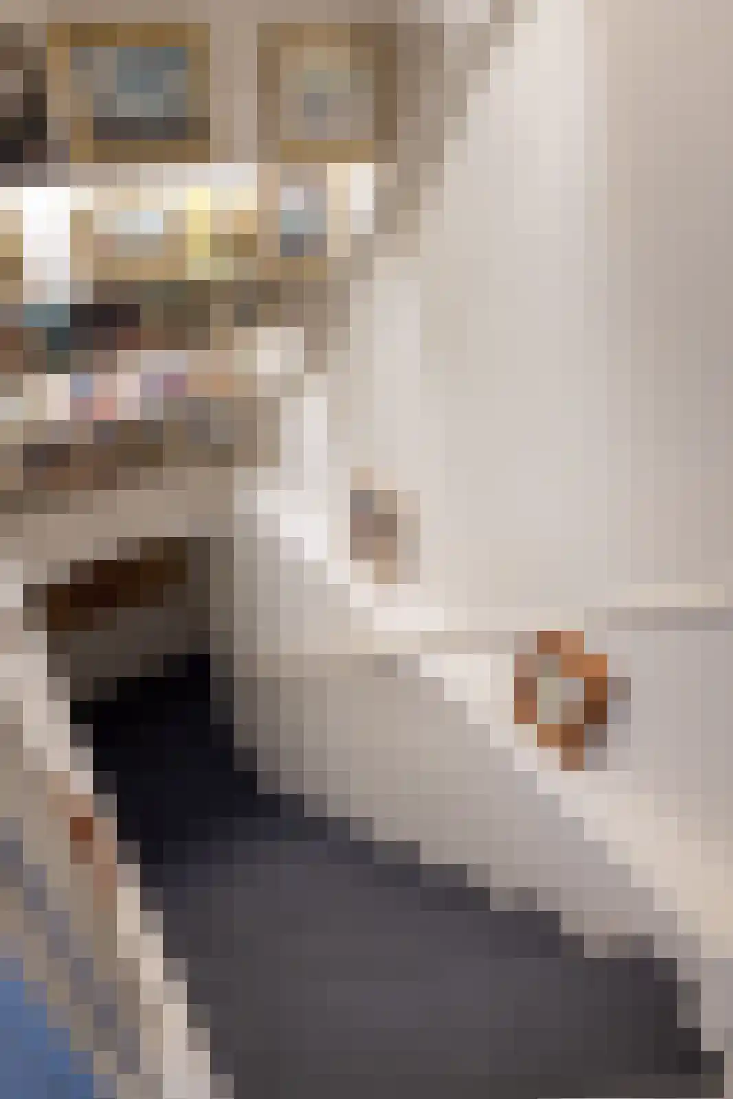 Ds. E. Kreikenlaan 12 Wesepe thumbnail 18