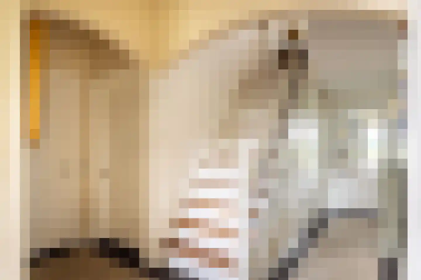Ds. E. Kreikenlaan 12 Wesepe thumbnail 19