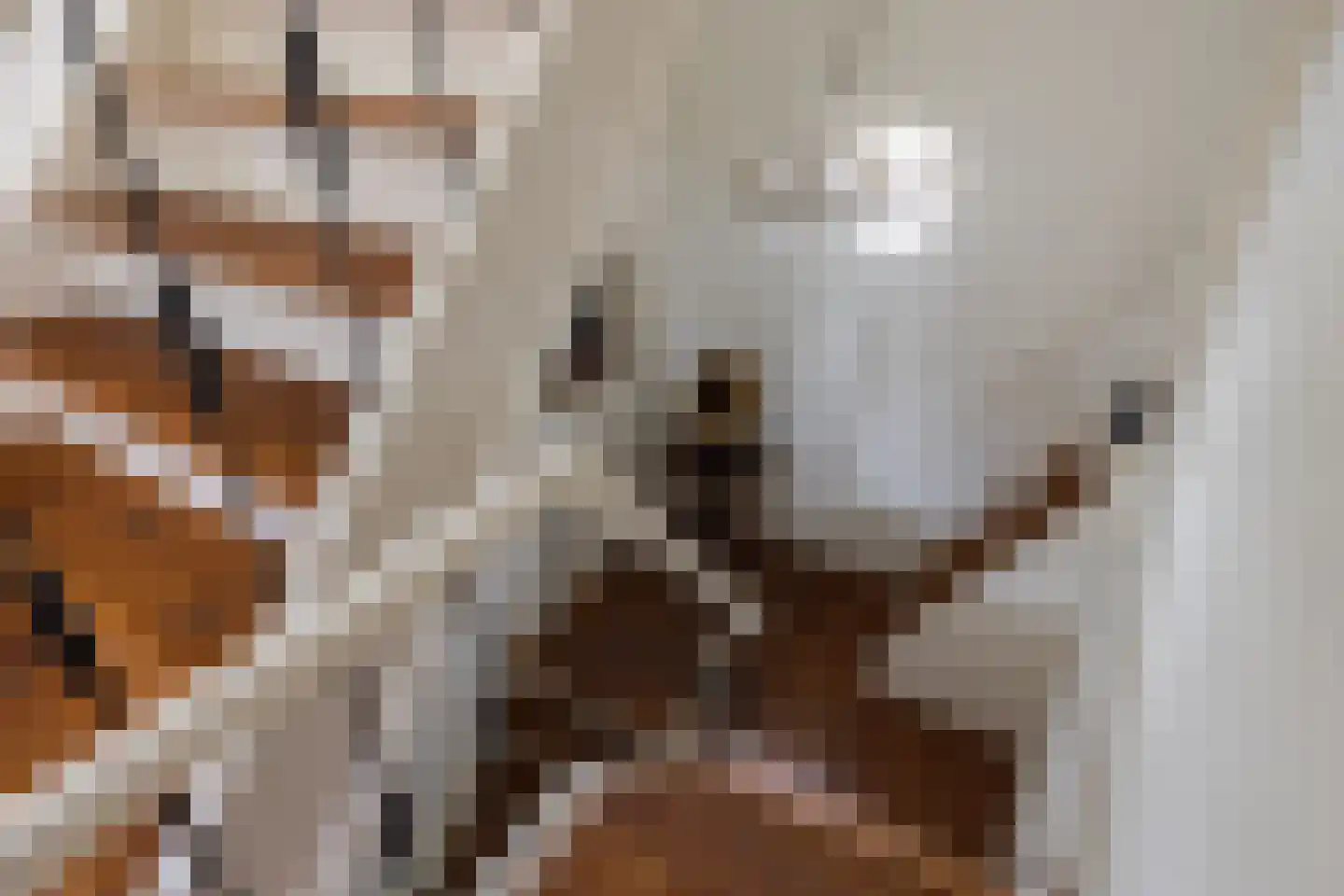 Ds. E. Kreikenlaan 12 Wesepe thumbnail 22