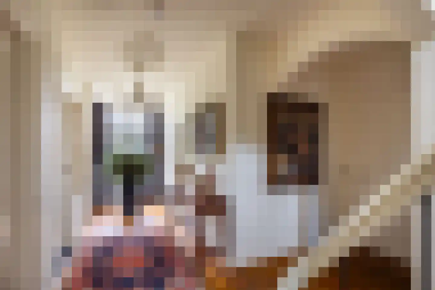 Ds. E. Kreikenlaan 12 Wesepe thumbnail 23