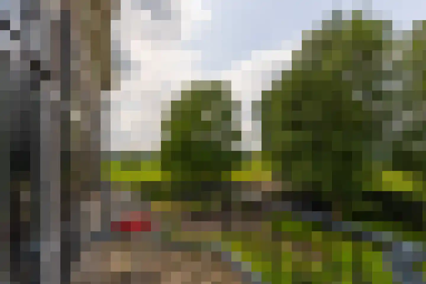 Ds. E. Kreikenlaan 12 Wesepe thumbnail 27