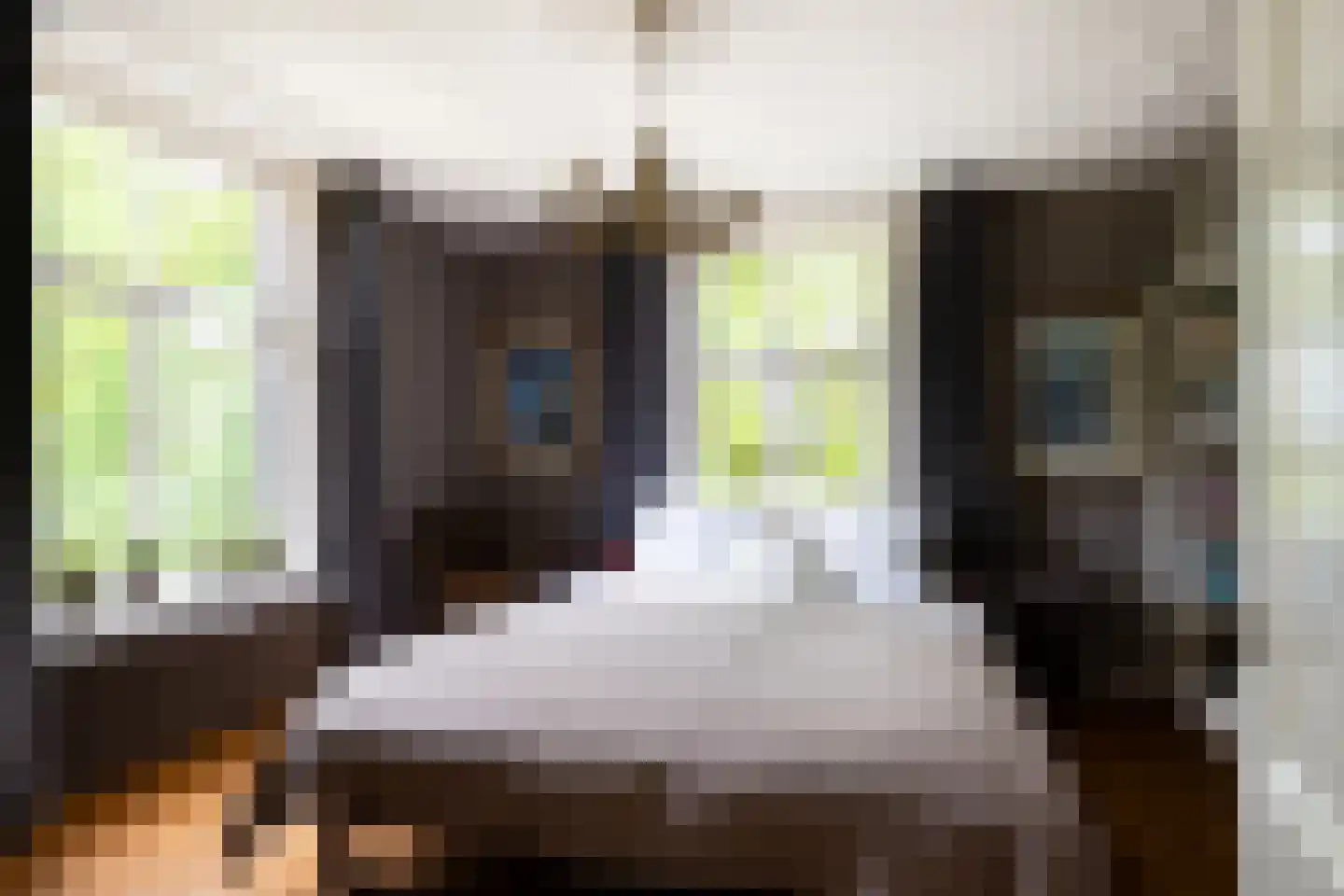 Ds. E. Kreikenlaan 12 Wesepe thumbnail 30