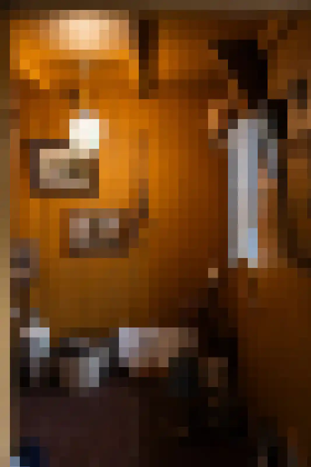 Ds. E. Kreikenlaan 12 Wesepe thumbnail 36