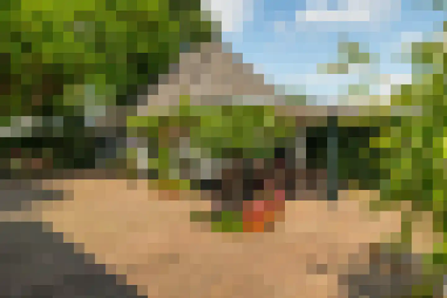 Ds. E. Kreikenlaan 12 Wesepe thumbnail 40