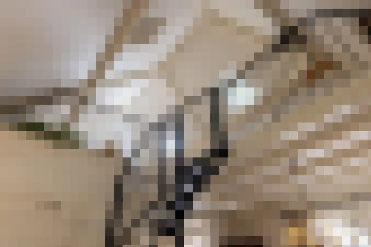 Ds. E. Kreikenlaan 12 Wesepe thumbnail 46