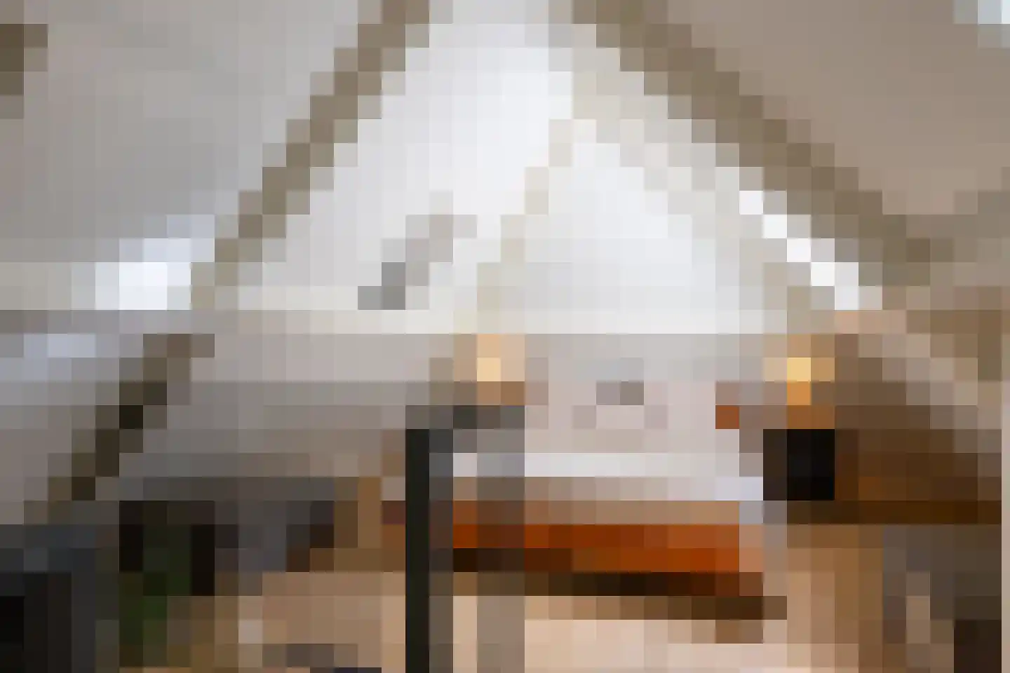 Ds. E. Kreikenlaan 12 Wesepe thumbnail 47