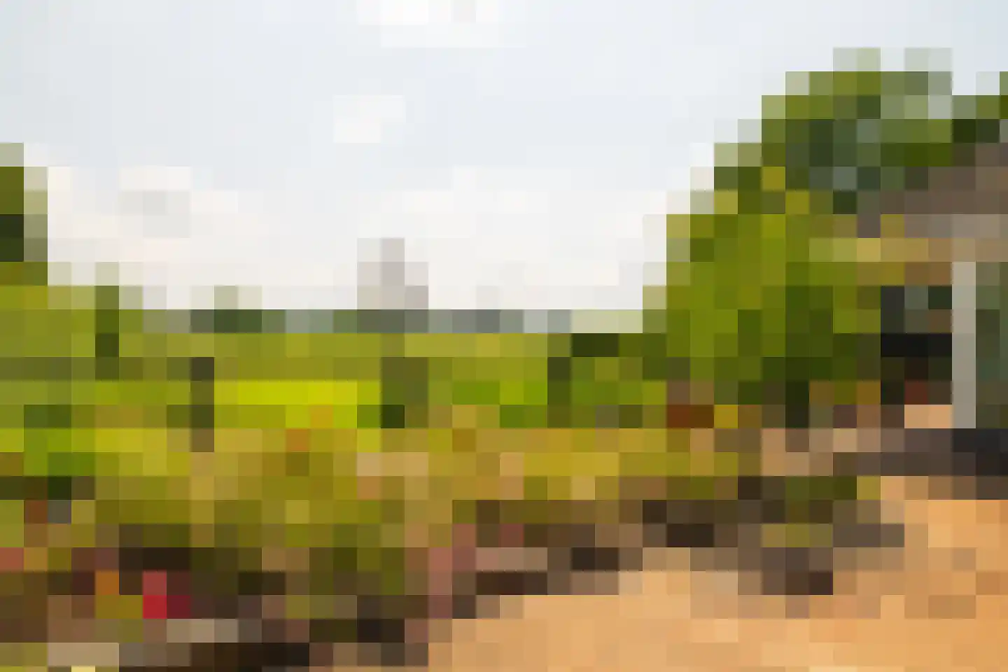 Ds. E. Kreikenlaan 12 Wesepe thumbnail 49