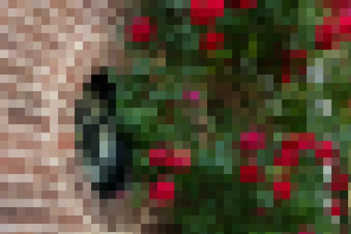 Ds. E. Kreikenlaan 12 Wesepe thumbnail 50