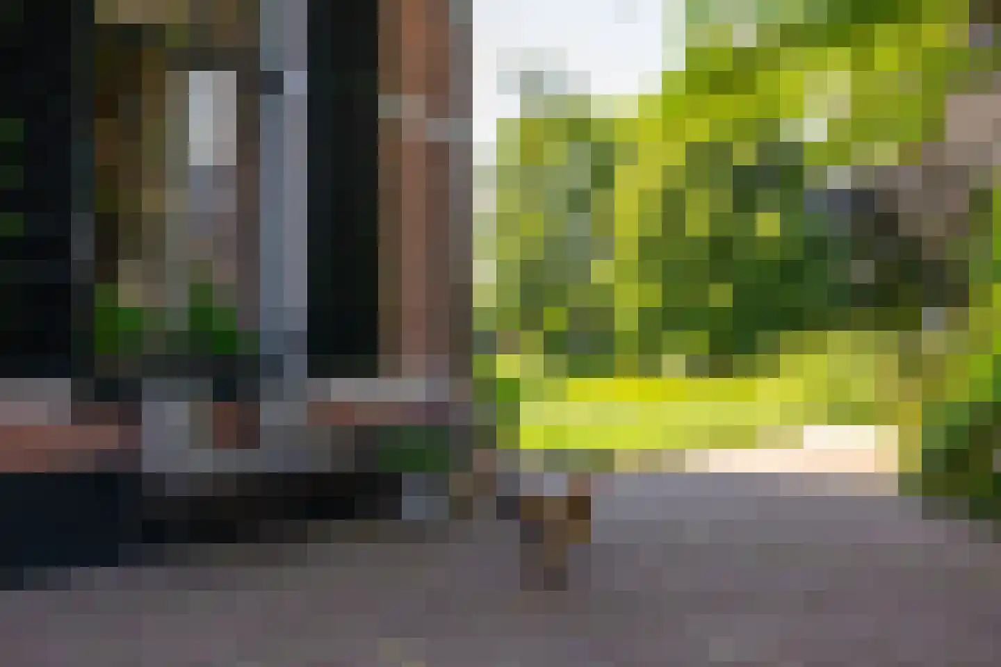 Ds. E. Kreikenlaan 12 Wesepe thumbnail 51