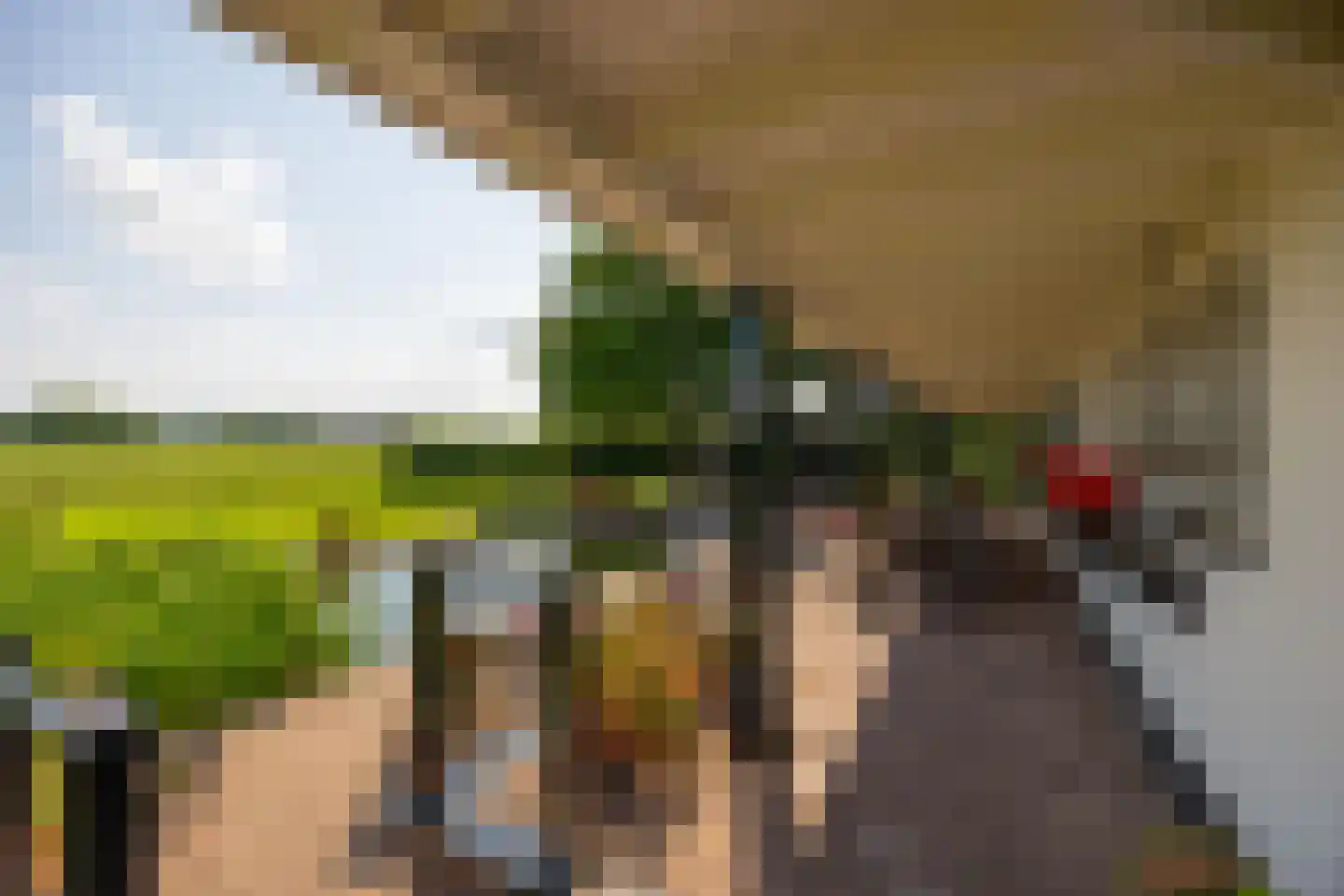 Ds. E. Kreikenlaan 12 Wesepe thumbnail 52
