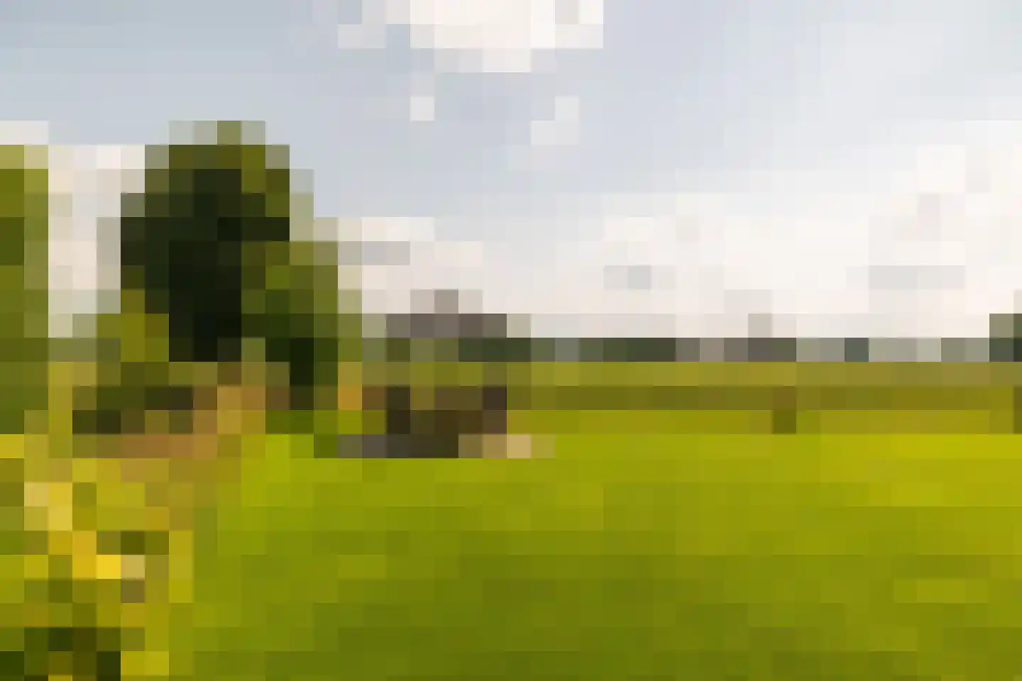 Ds. E. Kreikenlaan 12 Wesepe thumbnail 55