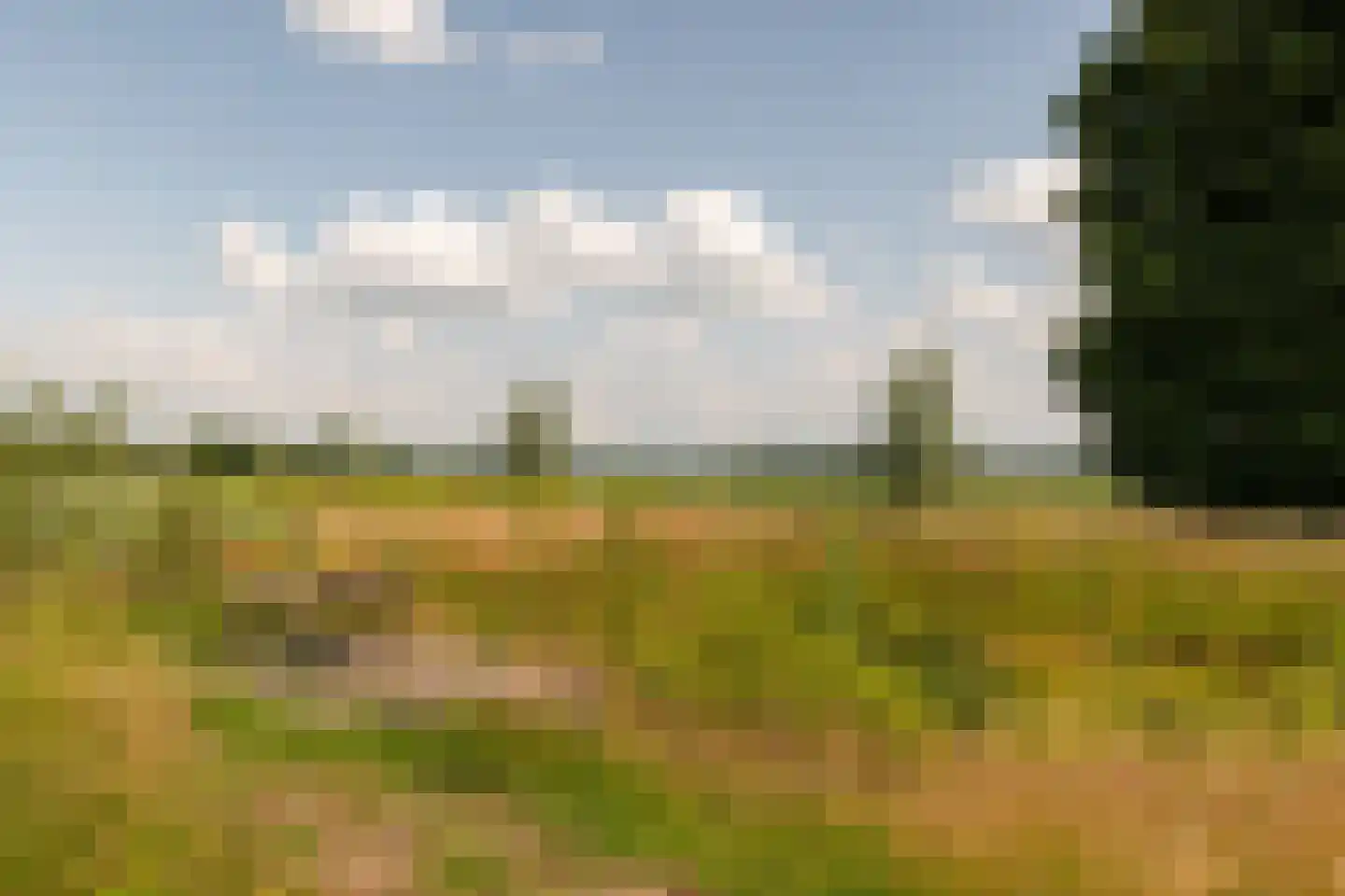 Ds. E. Kreikenlaan 12 Wesepe thumbnail 56