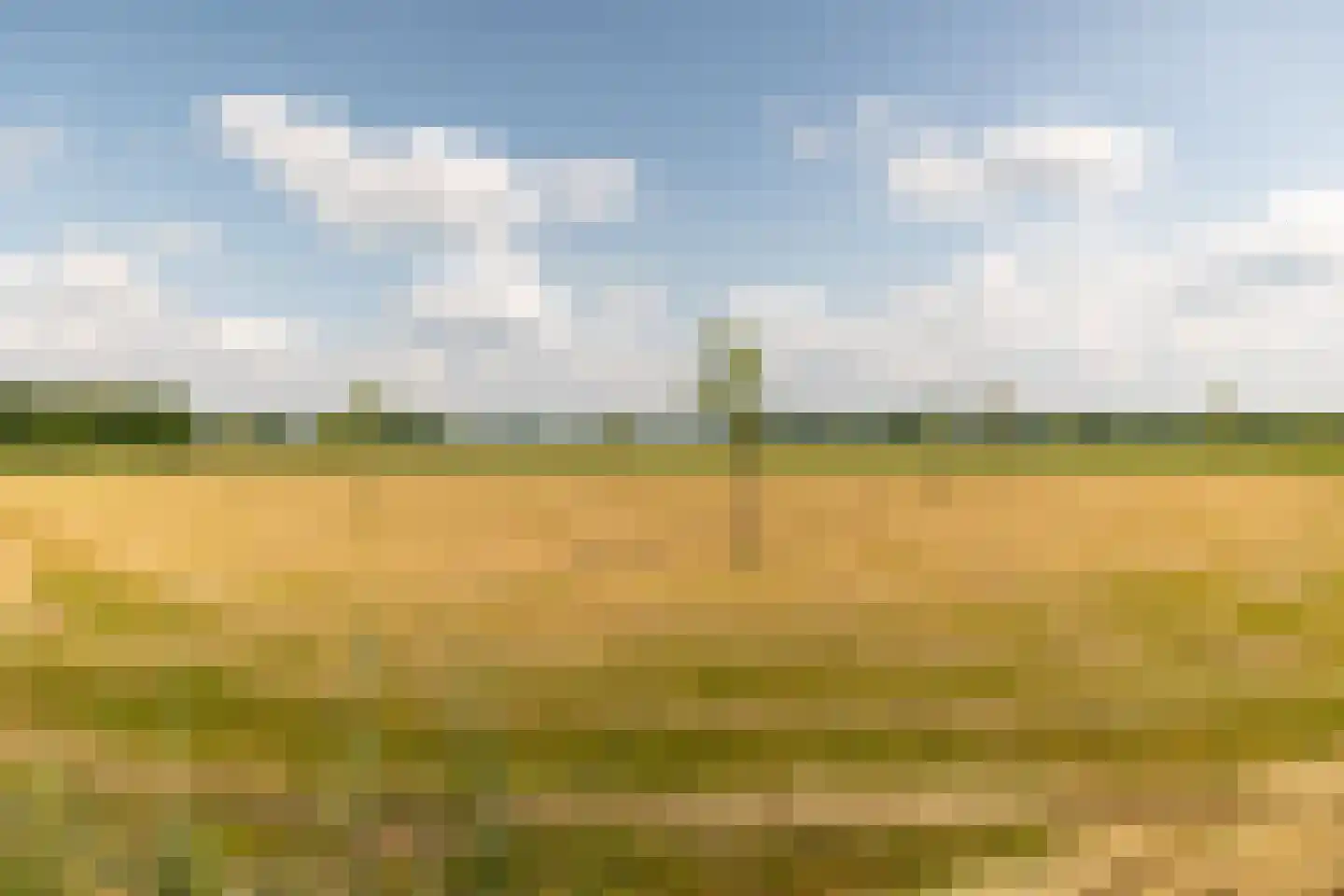 Ds. E. Kreikenlaan 12 Wesepe thumbnail 57