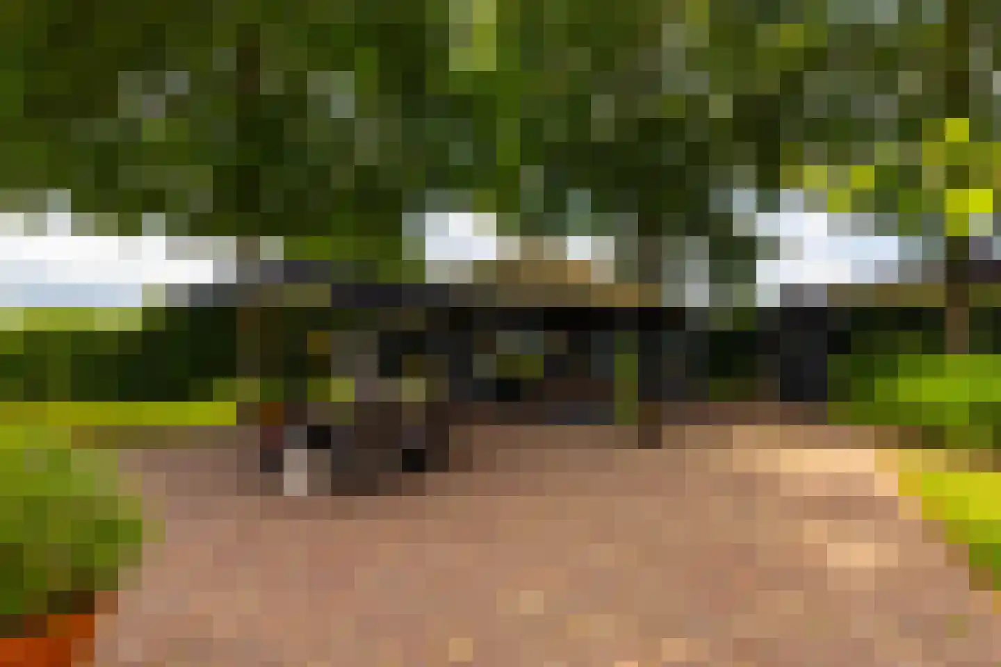 Ds. E. Kreikenlaan 12 Wesepe thumbnail 58