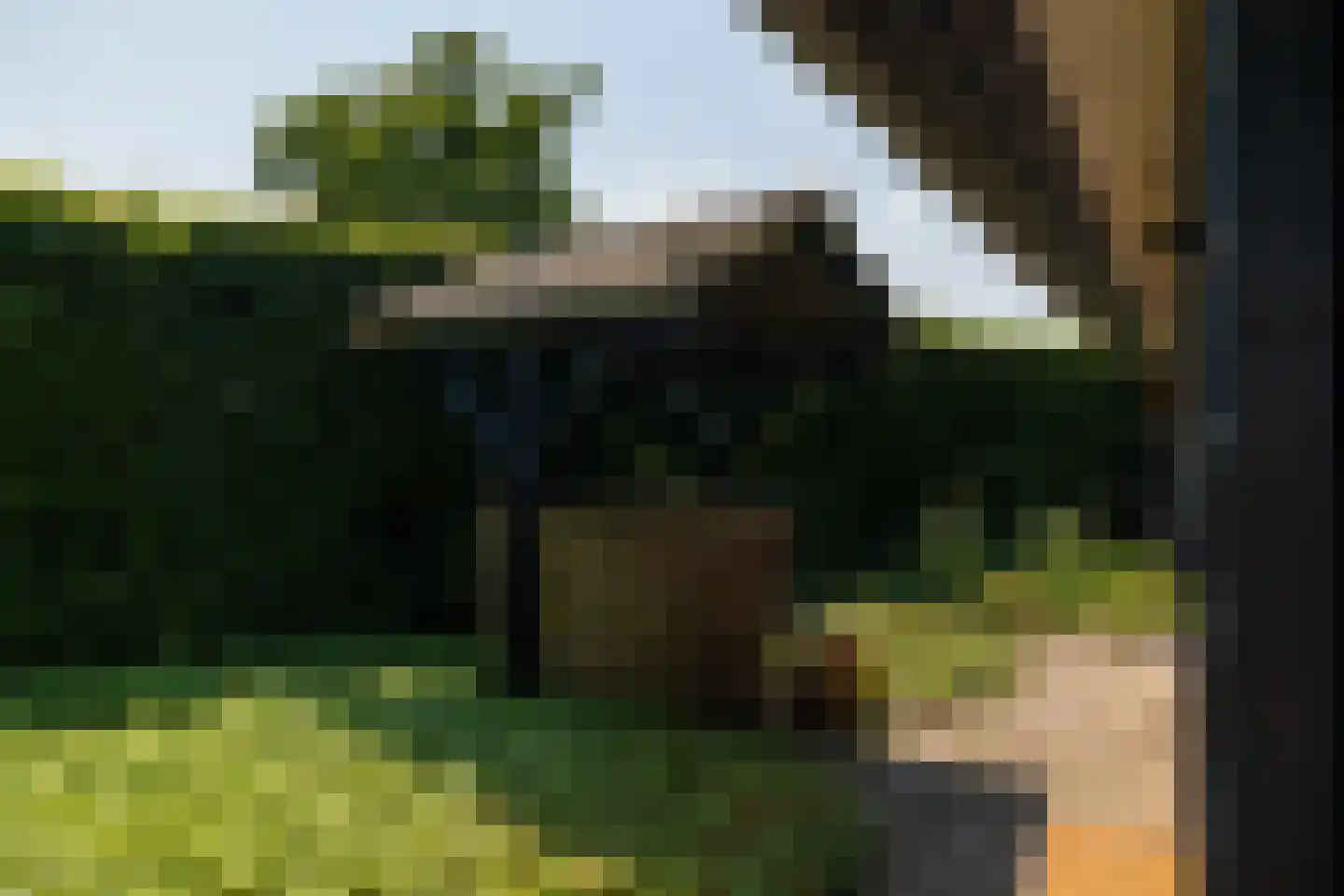 Ds. E. Kreikenlaan 12 Wesepe thumbnail 59