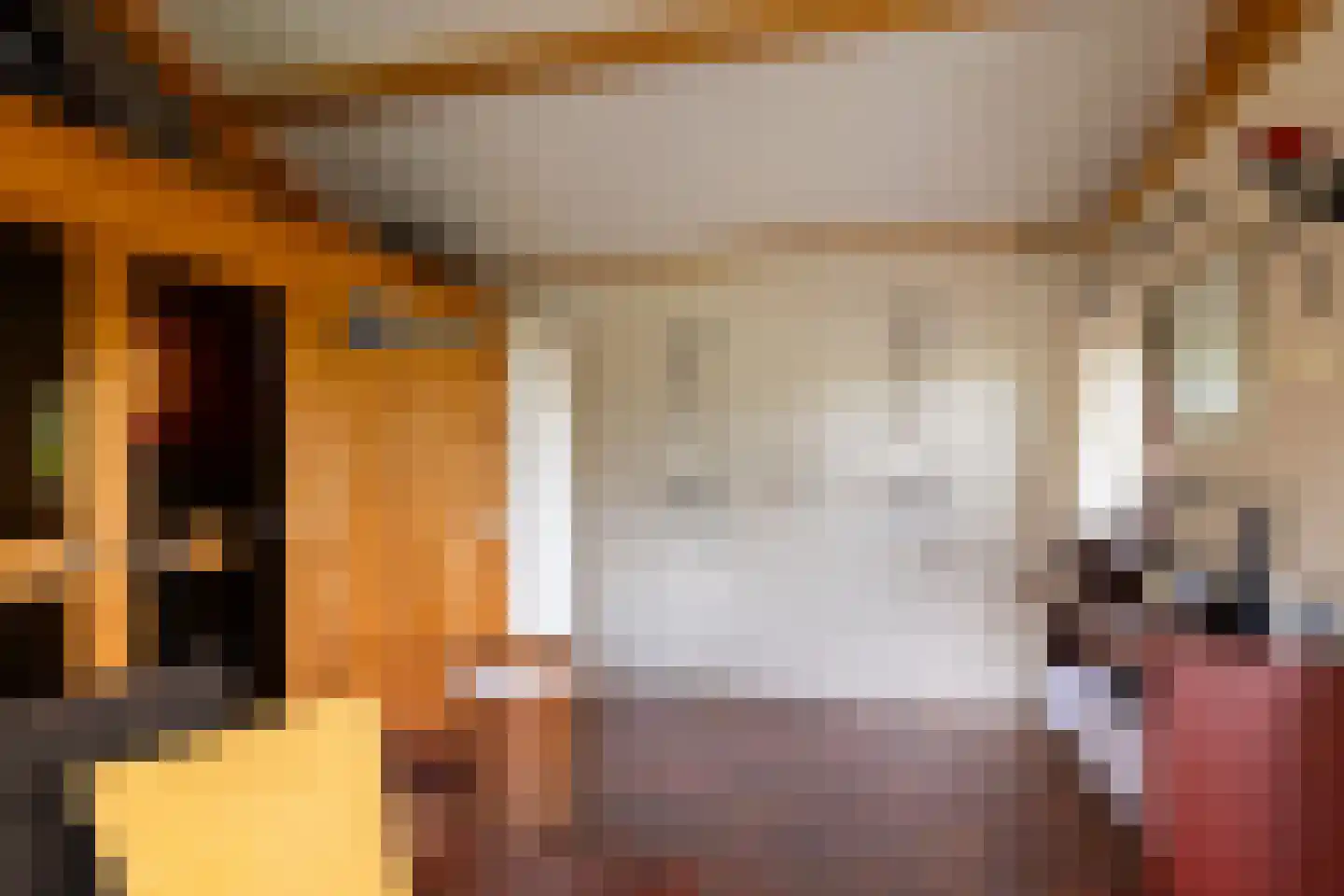 Ds. E. Kreikenlaan 12 Wesepe thumbnail 61