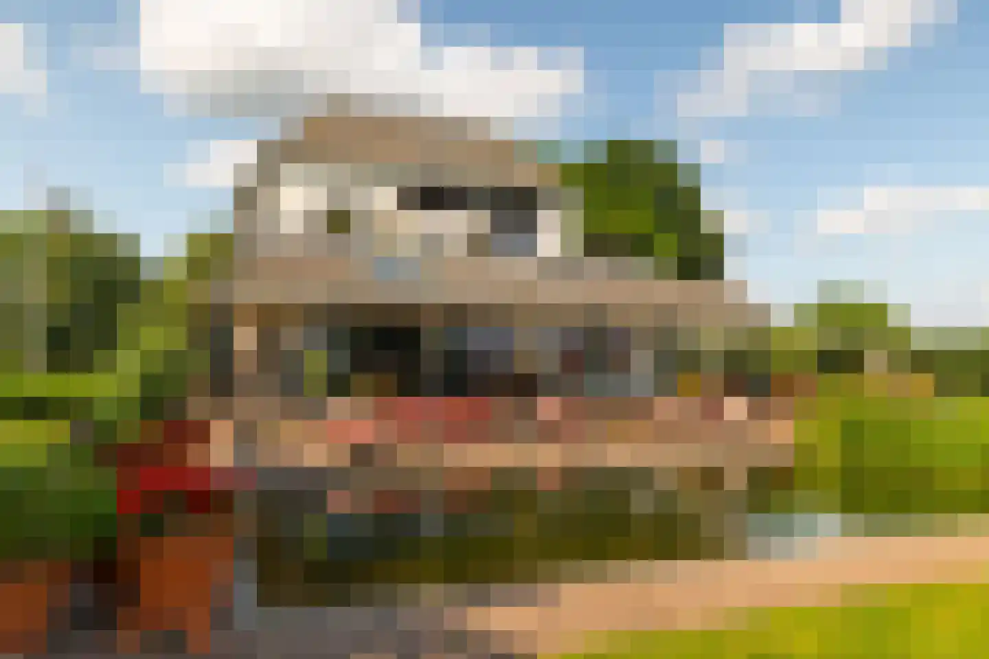 Ds. E. Kreikenlaan 12 Wesepe thumbnail 63