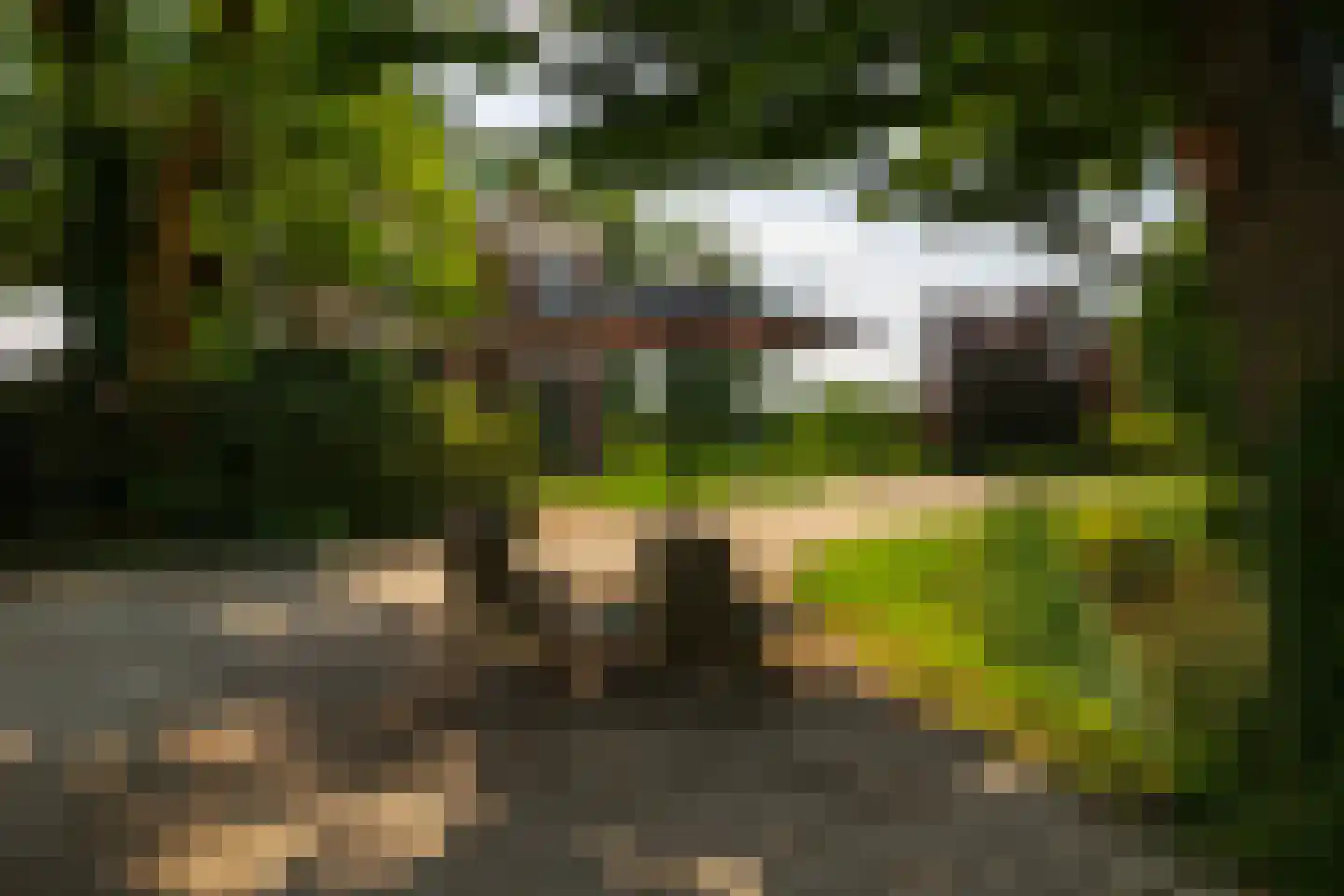 Ds. E. Kreikenlaan 12 Wesepe thumbnail 66