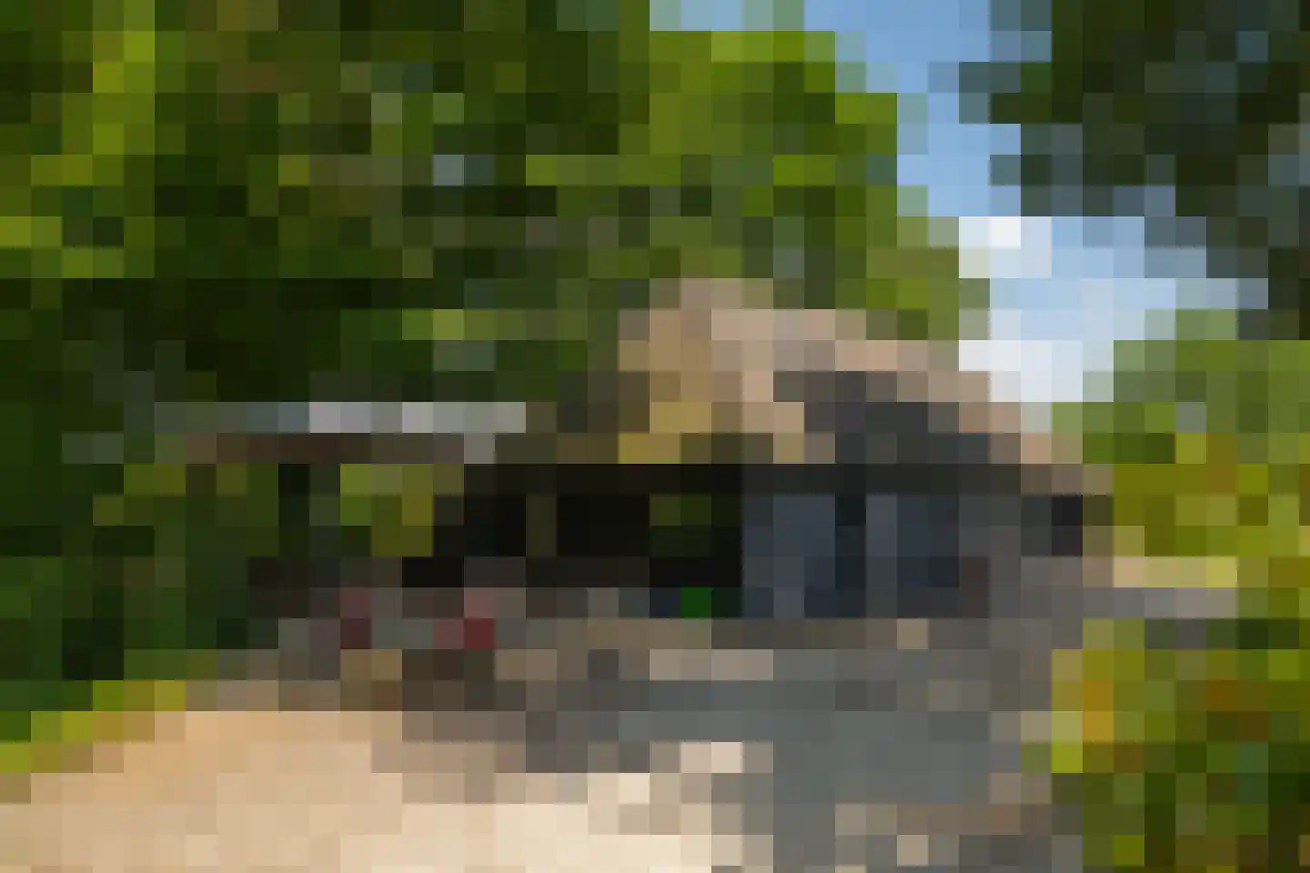 Ds. E. Kreikenlaan 12 Wesepe thumbnail 67