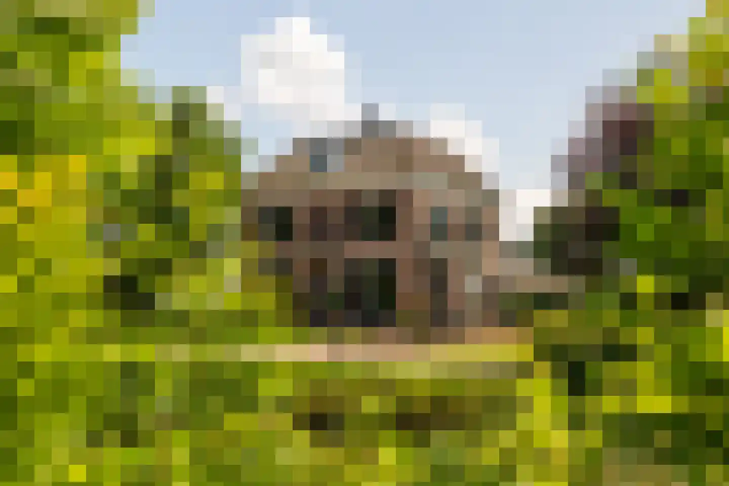 Ds. E. Kreikenlaan 12 Wesepe thumbnail 70