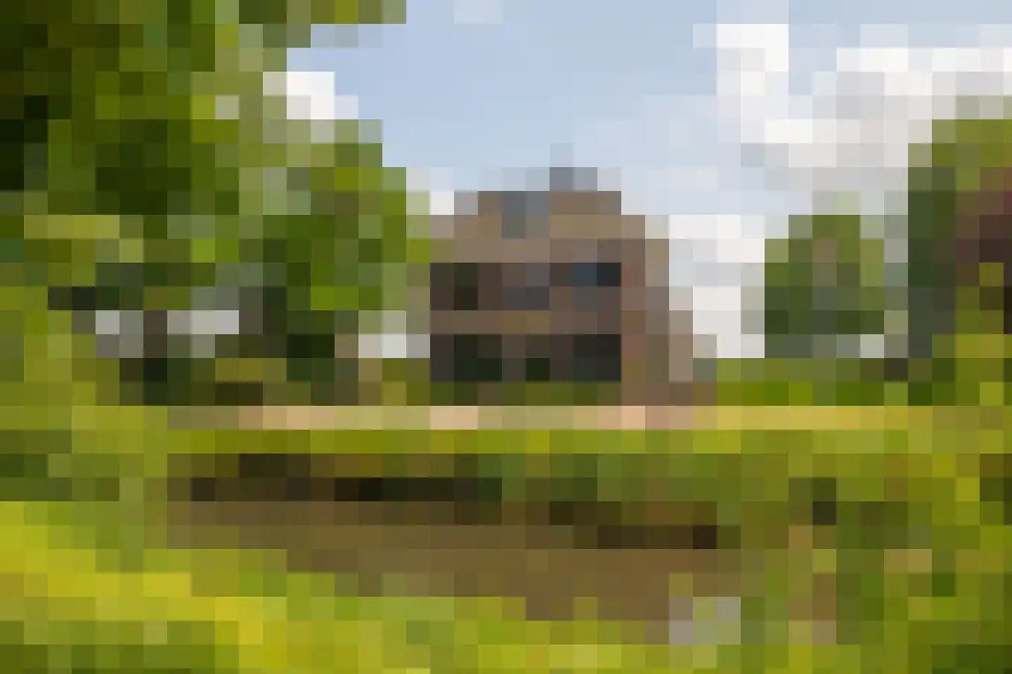 Ds. E. Kreikenlaan 12 Wesepe thumbnail 71