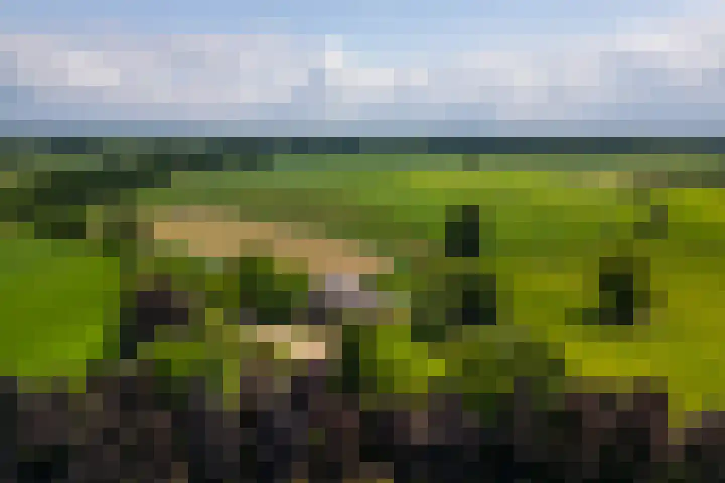 Ds. E. Kreikenlaan 12 Wesepe thumbnail 72