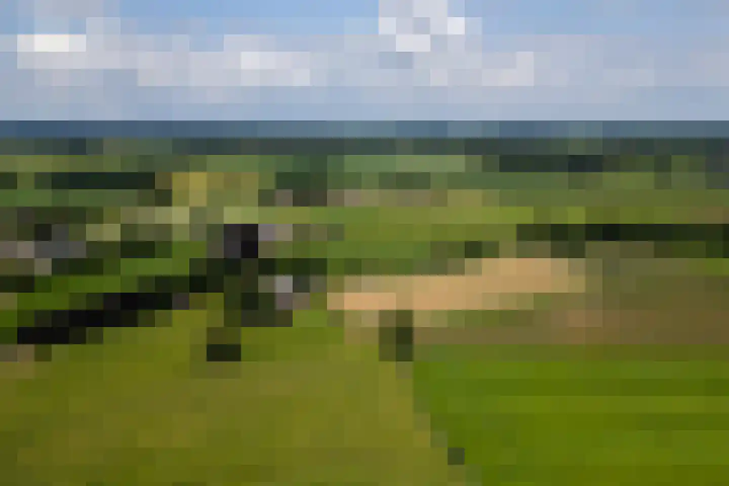 Ds. E. Kreikenlaan 12 Wesepe thumbnail 73