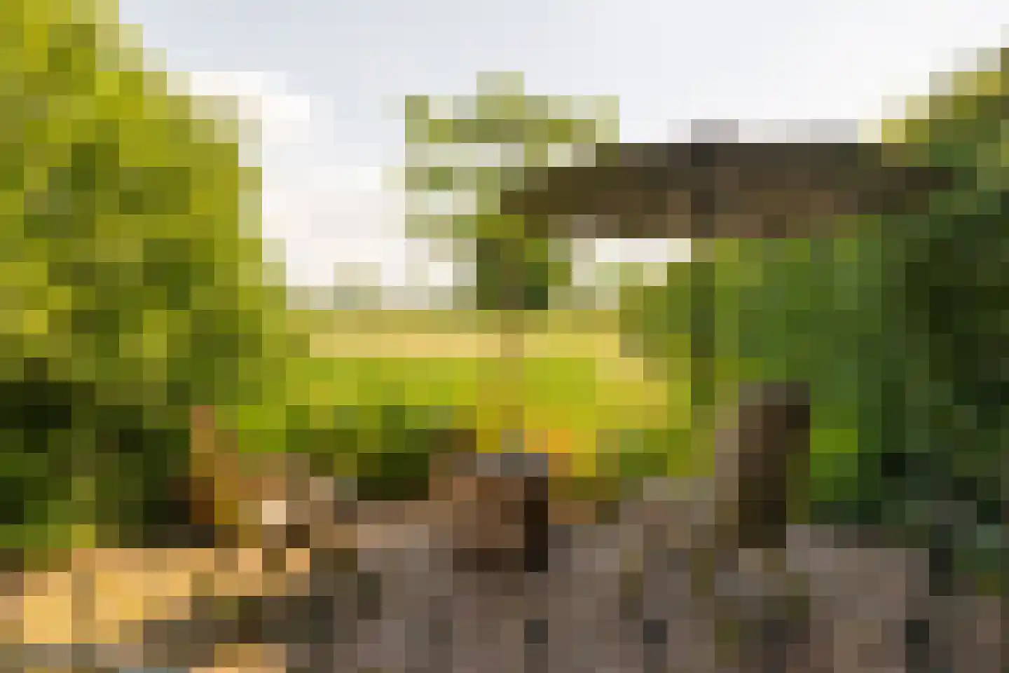 Ds. E. Kreikenlaan 12 Wesepe thumbnail 74