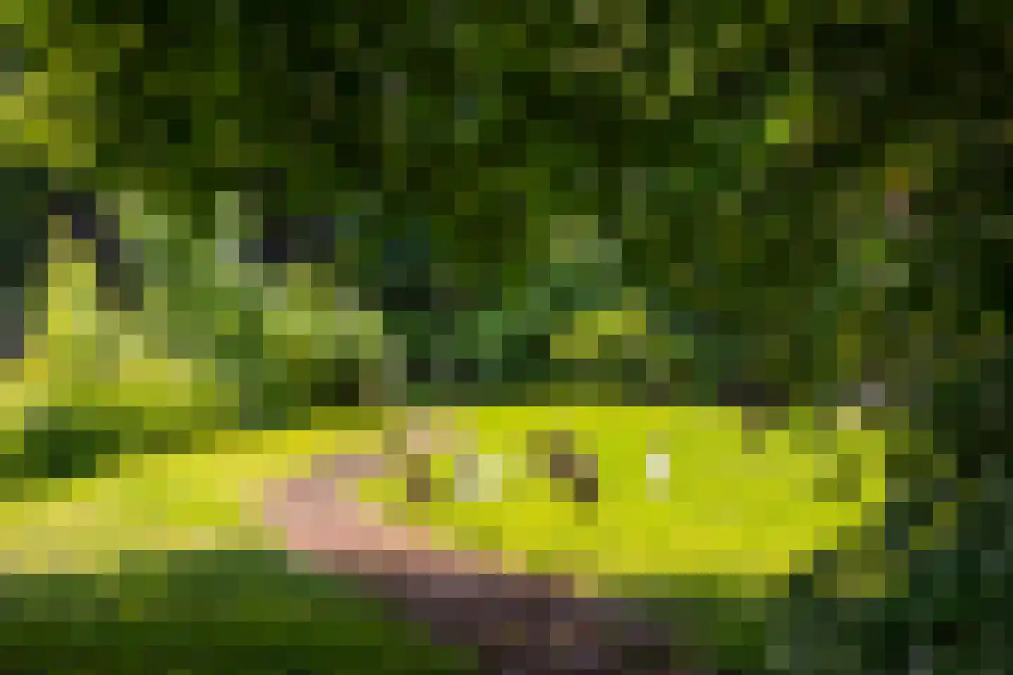 Ds. E. Kreikenlaan 12 Wesepe thumbnail 75