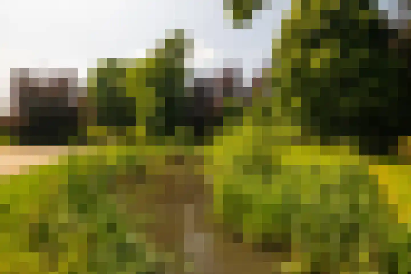 Ds. E. Kreikenlaan 12 Wesepe thumbnail 76