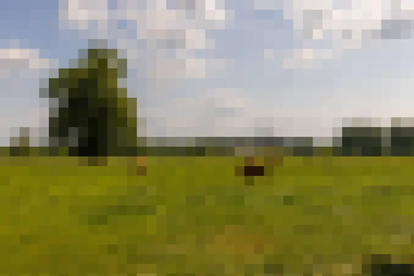 Ds. E. Kreikenlaan 12 Wesepe thumbnail 77