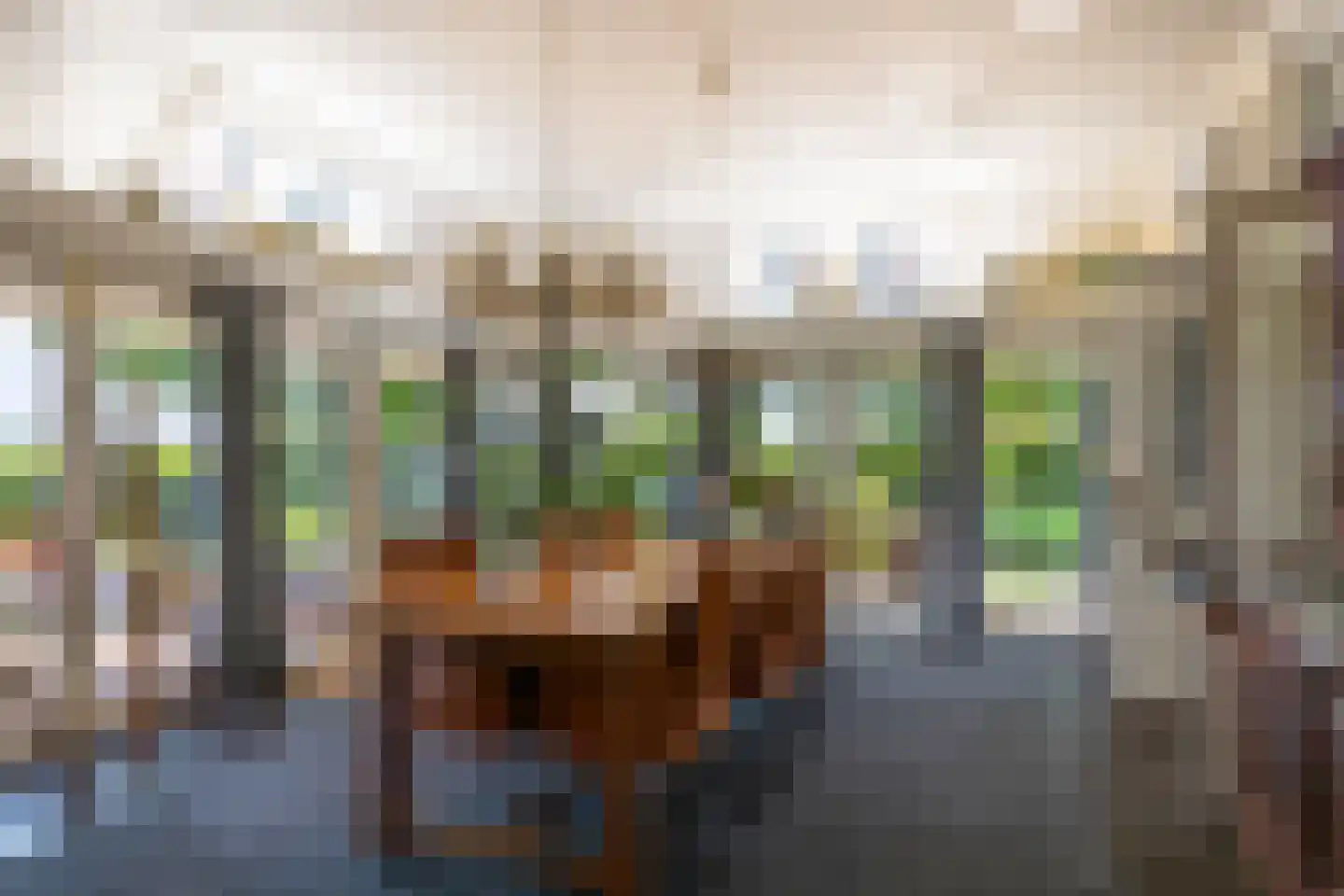 Ds. E. Kreikenlaan 12 Wesepe thumbnail 9