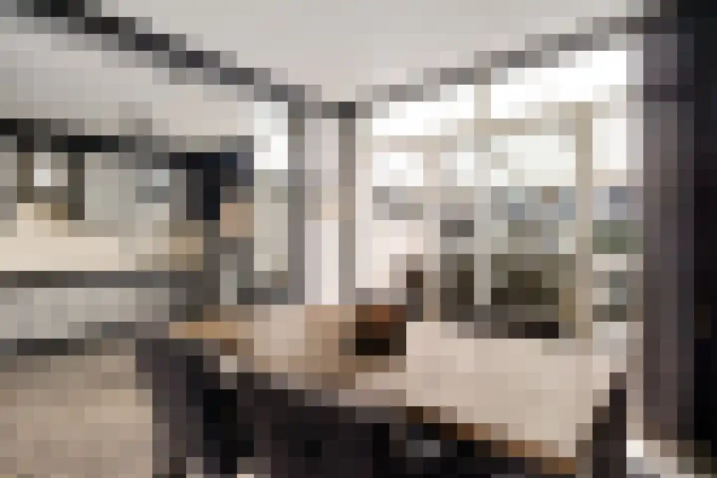 Ds. Fleischerstraat 17 Ter Apel thumbnail 14