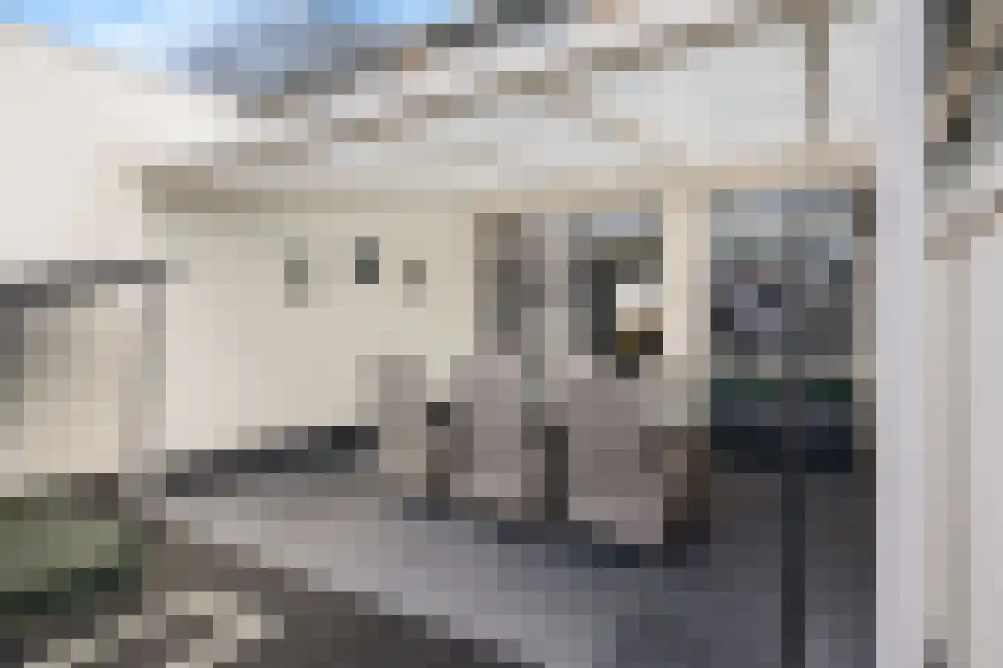 Ds. Fleischerstraat 17 Ter Apel thumbnail 32