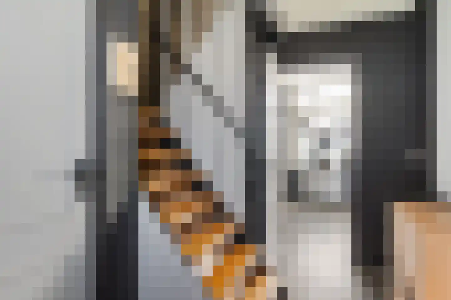 Ds. Fleischerstraat 17 Ter Apel thumbnail 7