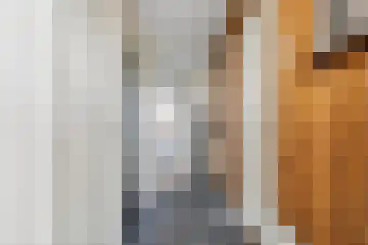 Ds. Germswei 43 Damwâld thumbnail 12