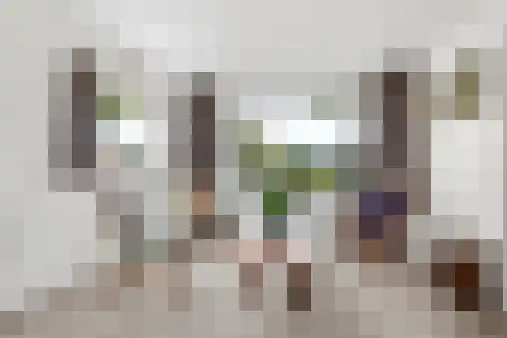 Ds. Germswei 43 Damwâld thumbnail 13