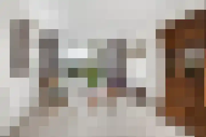 Ds. Germswei 43 Damwâld thumbnail 14