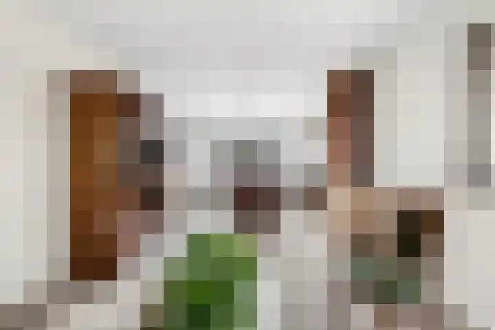 Ds. Germswei 43 Damwâld thumbnail 15