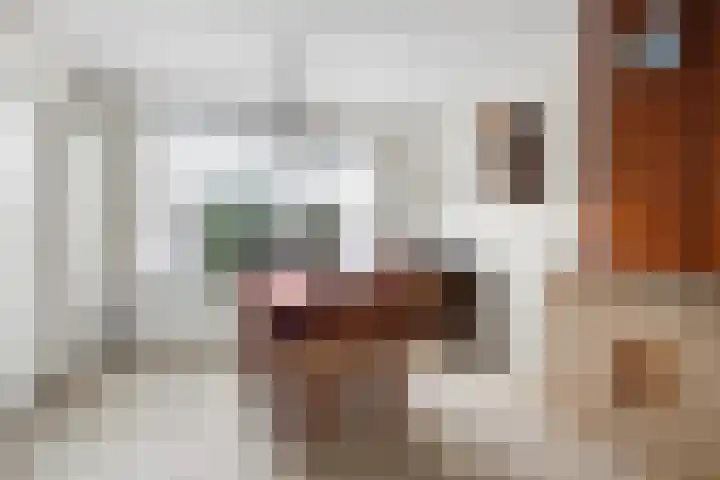 Ds. Germswei 43 Damwâld thumbnail 16