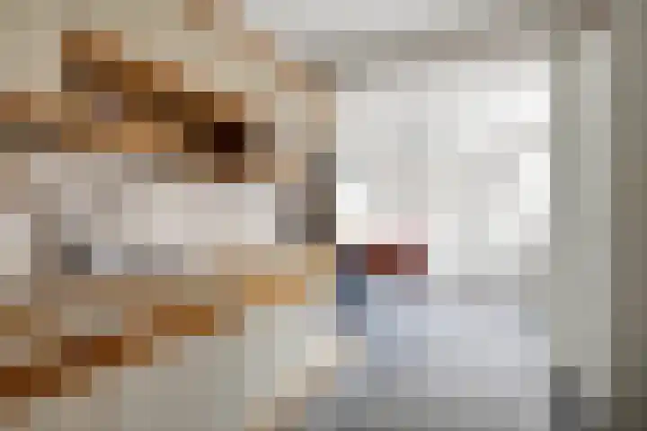 Ds. Germswei 43 Damwâld thumbnail 17