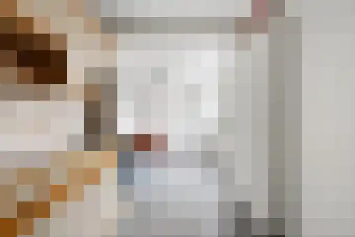 Ds. Germswei 43 Damwâld thumbnail 18
