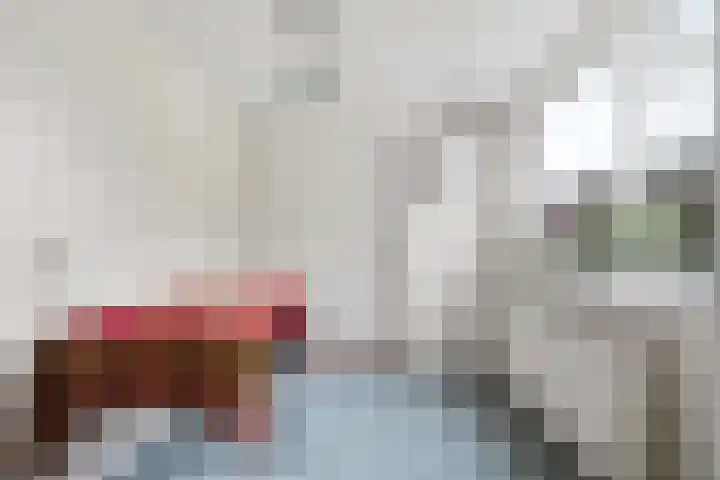 Ds. Germswei 43 Damwâld thumbnail 21