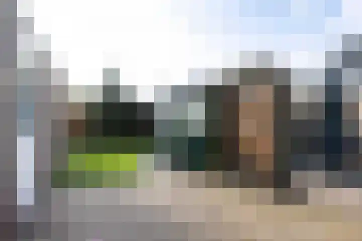 Ds. Germswei 43 Damwâld thumbnail 22