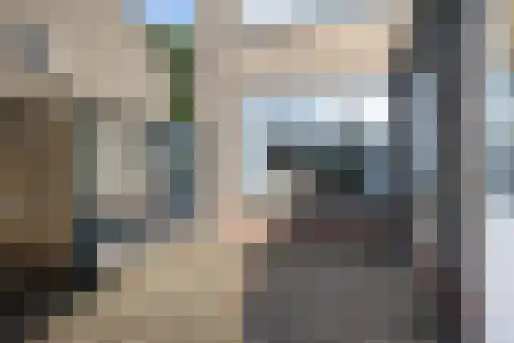 Ds. Germswei 43 Damwâld thumbnail 23